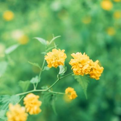 超能汉化组直装游戏